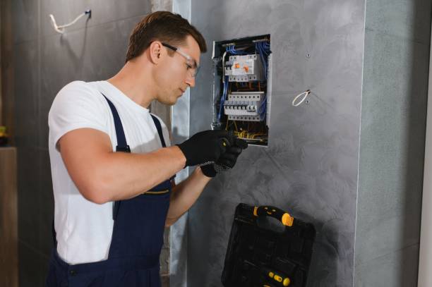 Best Electrical System Inspection  in Stockbridge, MI
