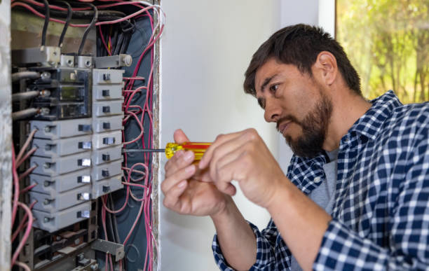 Best Home Electrical Repair  in Stockbridge, MI
